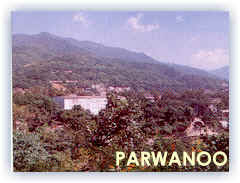 Beautiful Photos Of Parwanoo ( Solan )