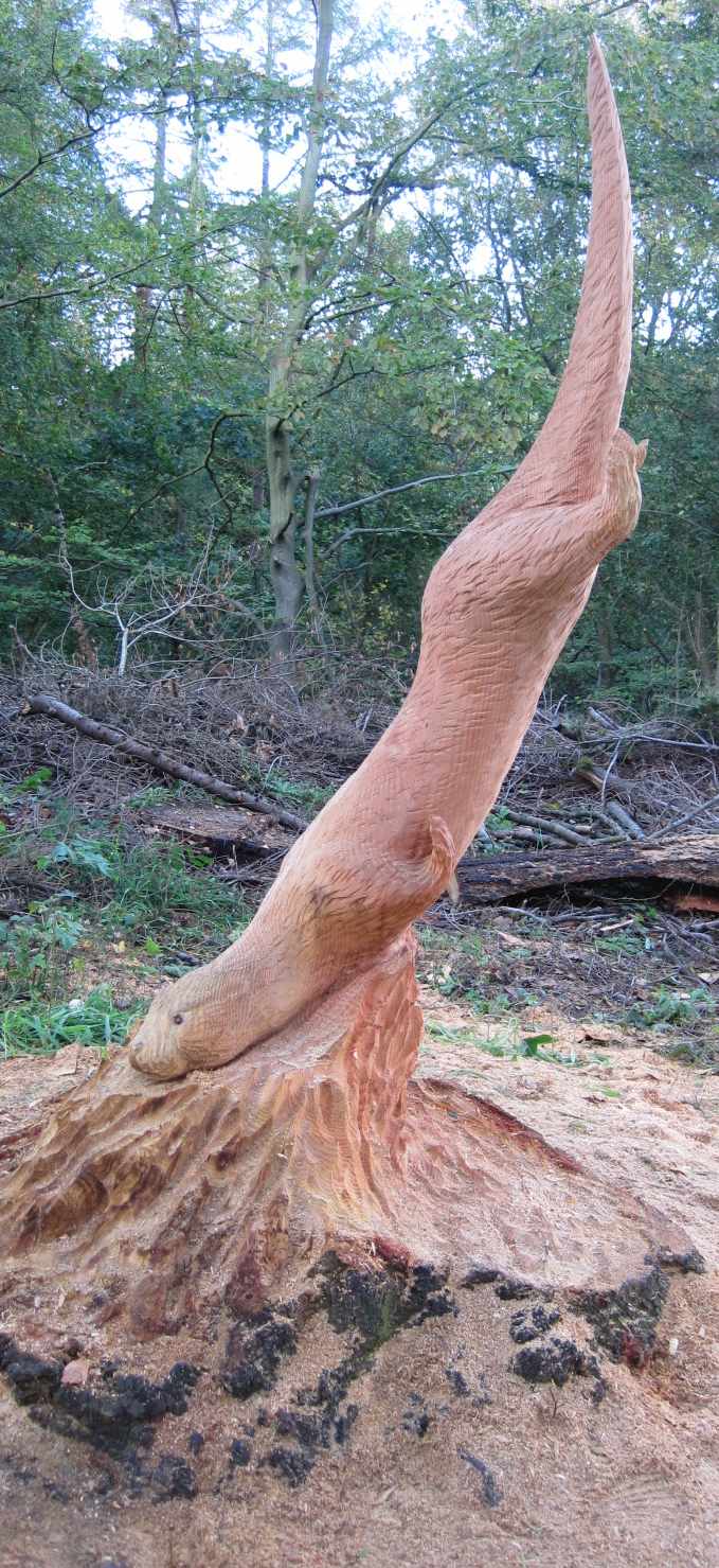 Living in England Chainsaw Art at Thornley Woods nr Newcastle