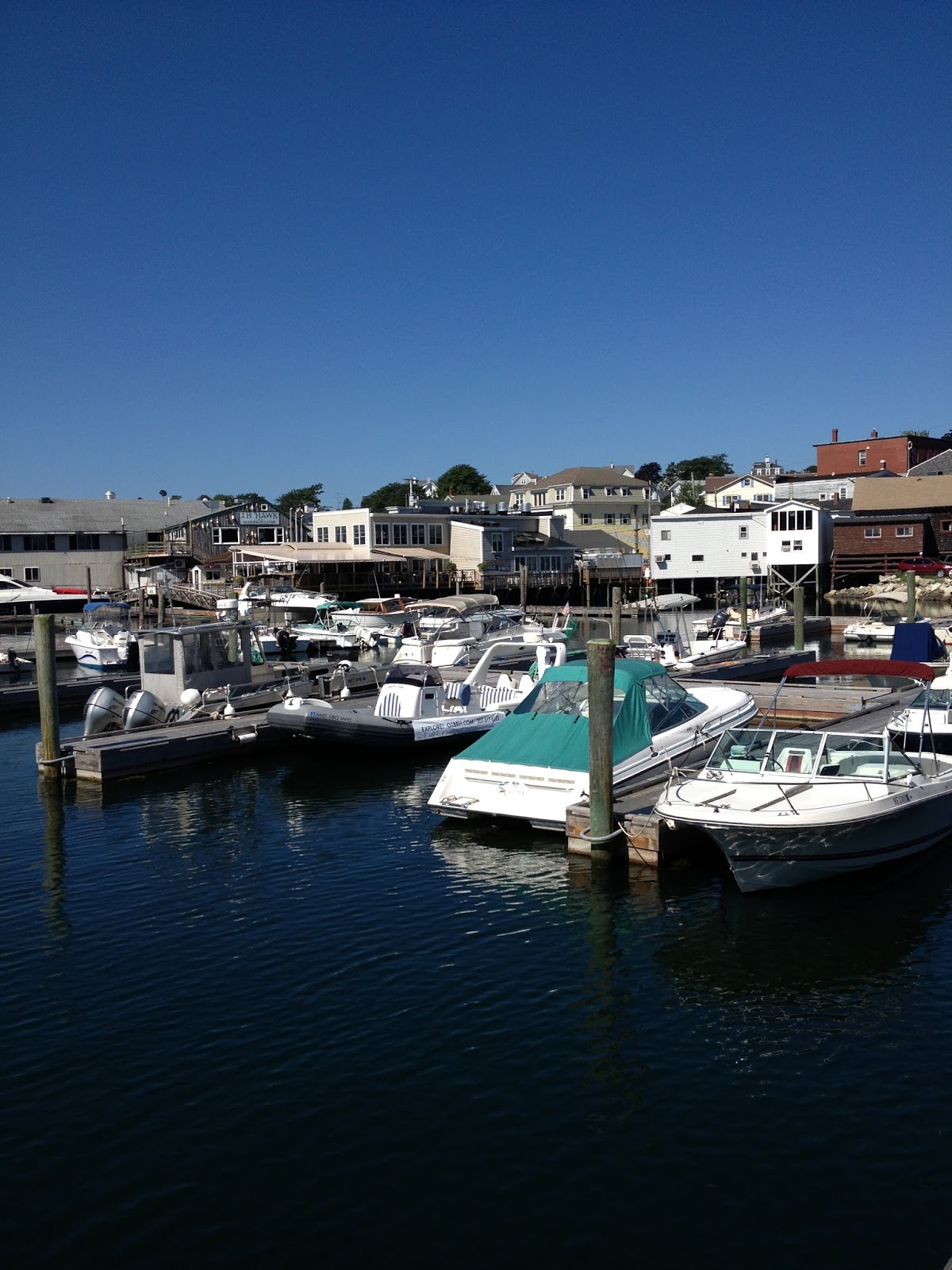 Go with the Gilmore's Cabbage Island Lobster and Clam Bake