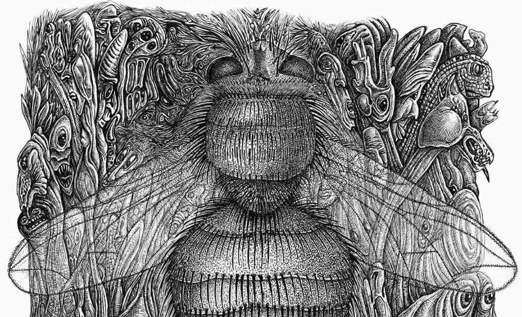 Invertebrate Diaries 