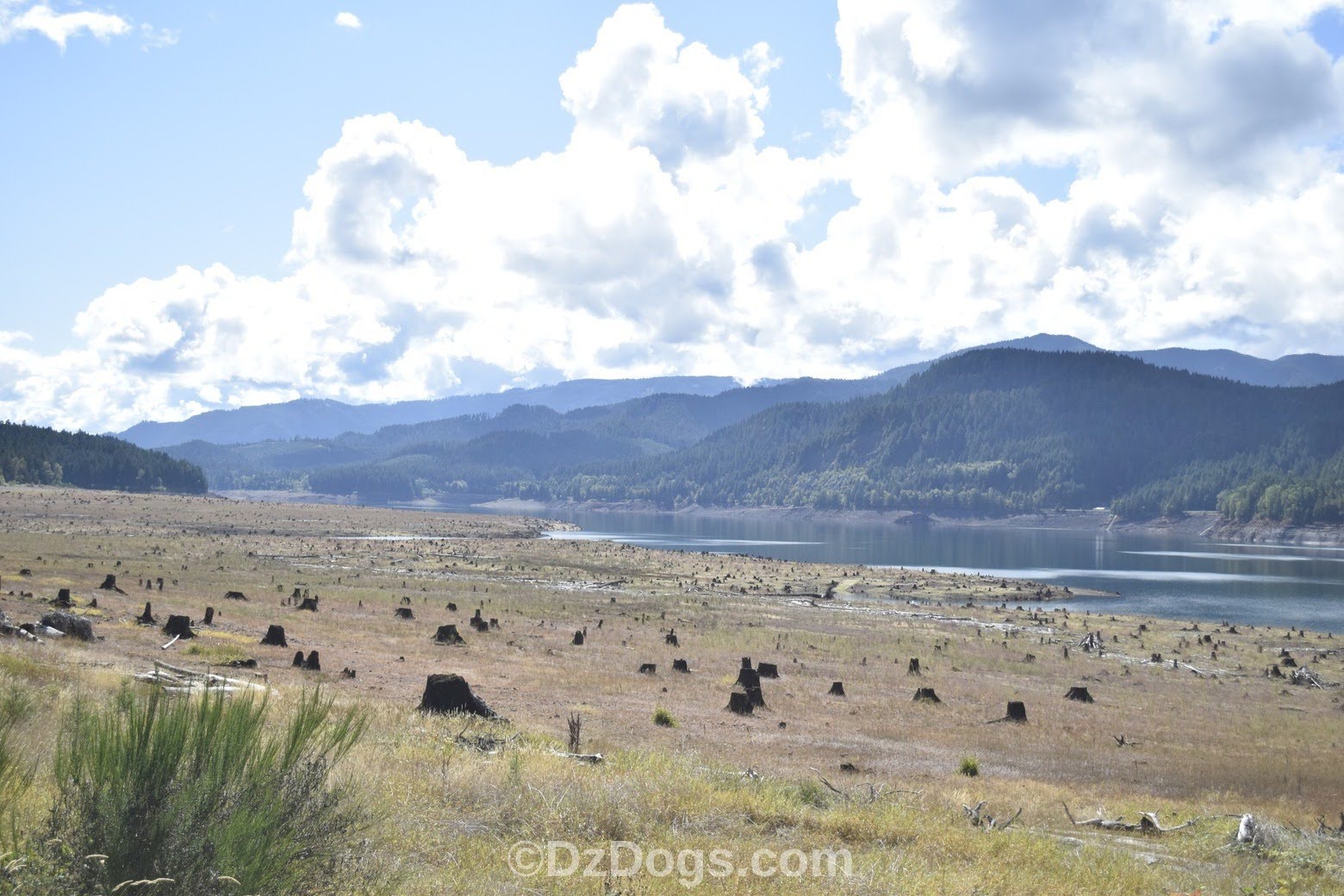 DZ's Adventures Lookout Point Reservoir, Oregon