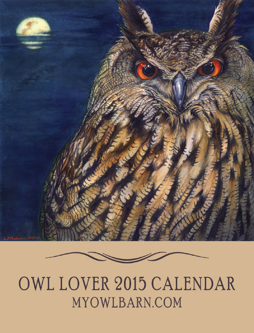 My Owl Barn Owl Lover 2015 Calendar
