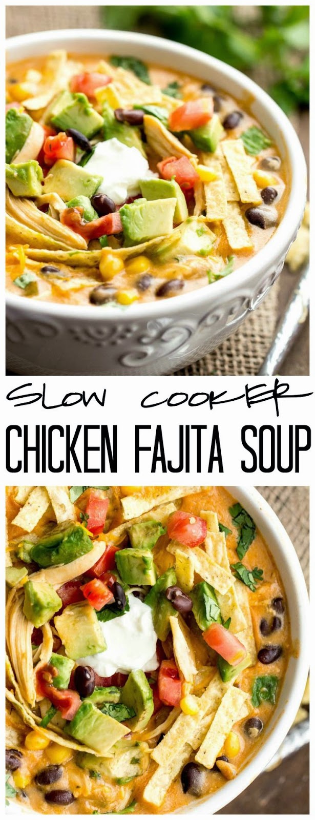 Best Recipes in the World Slow Cooker Chicken Fajita Soup