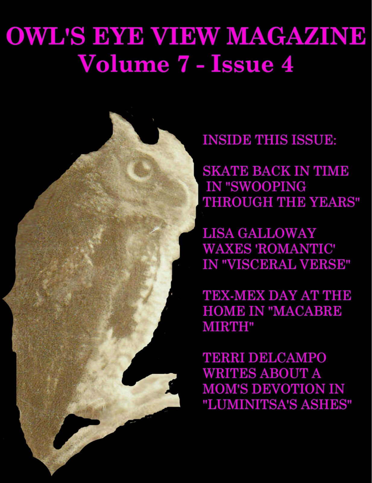 OWL'S EYE VIEW MAGAZINE 2016 ISSUE 4