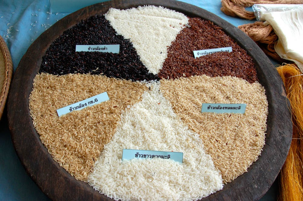 What are some interesting facts about rice?