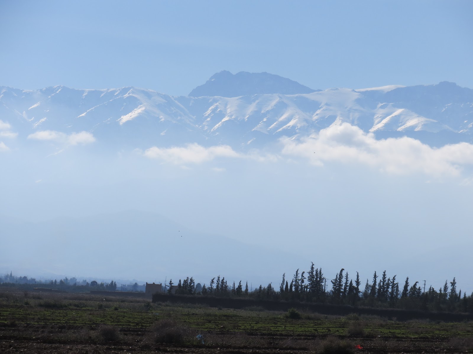 Viaggiare per culture: marrakech, e dintorni, dic. '12 (1)