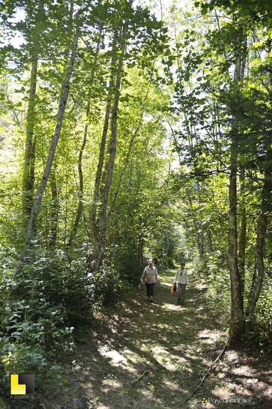 félicienne et valérie blachier sous les arbres du sentier de la Bonne photo pascal blachier
