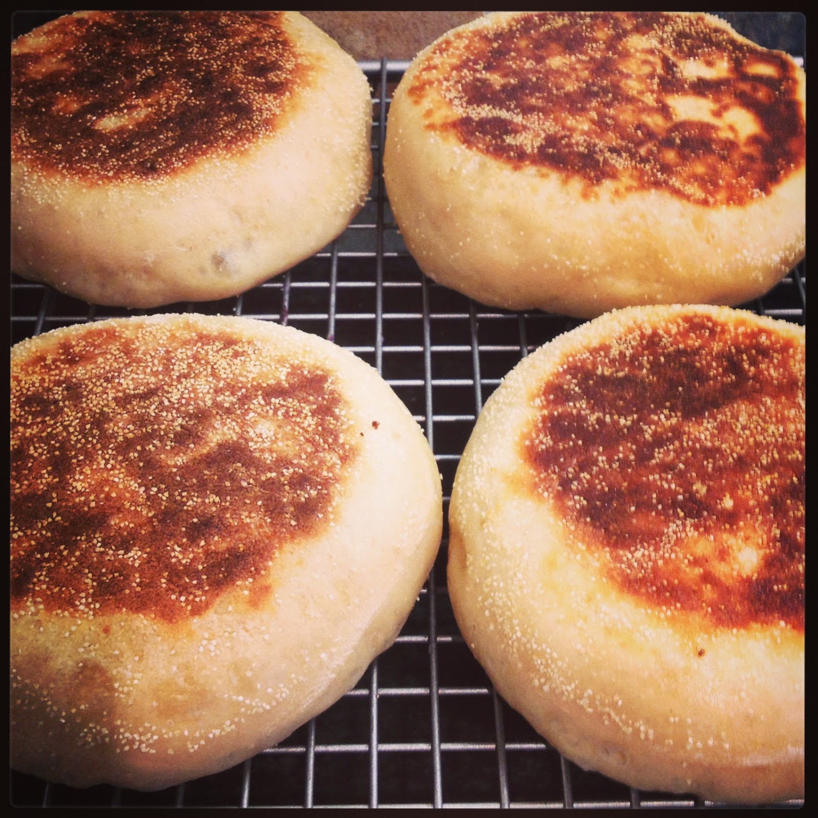 A Kick At The Pantry Door Paul Hollywood's English Muffins GBBO