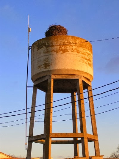 011.-P1010051+-+Arcos+de+la+Polvorosa.JP