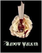 Shadow walker :