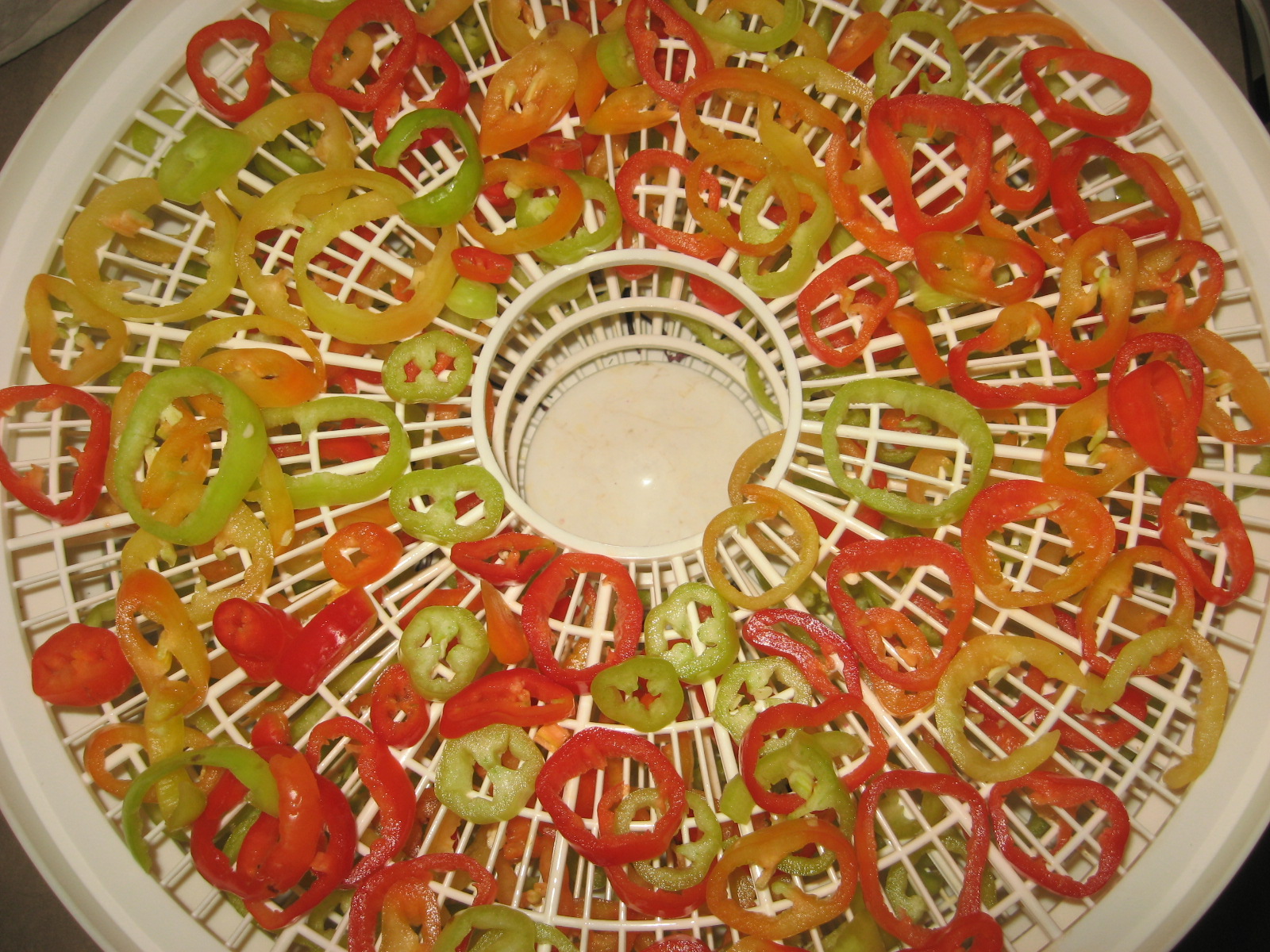 Dehydrating Peppers HOMEGROWN