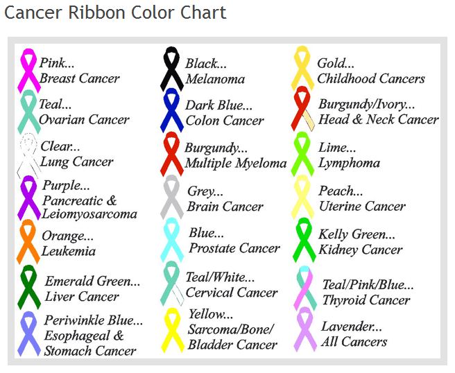 Paper In The Pines: August 2012