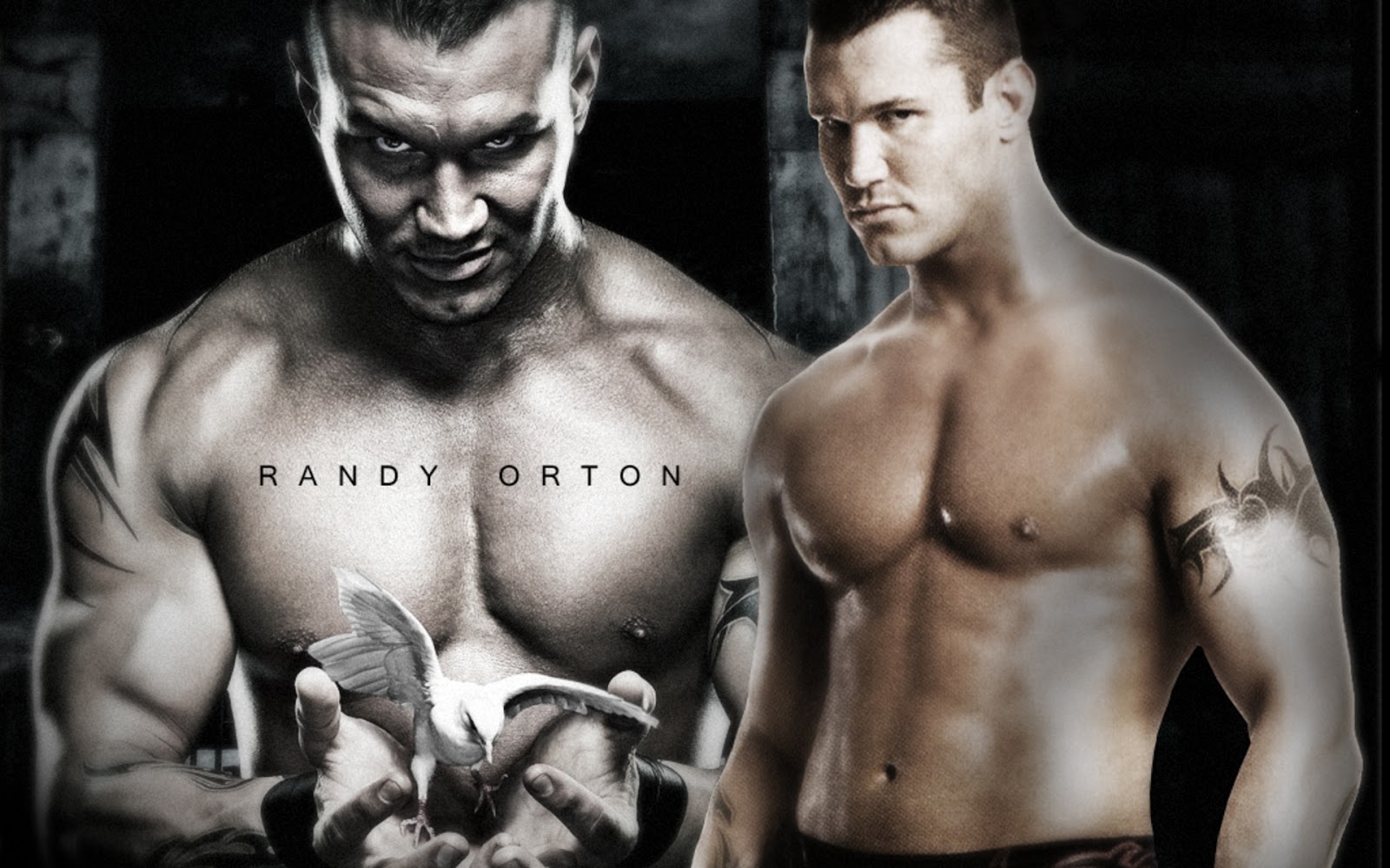 http://3.bp.blogspot.com/-hKdpduub0T0/UOATBaz-fgI/AAAAAAAABG4/tyLzP6JlwhI/s1600/randy_orton-wide.jpg