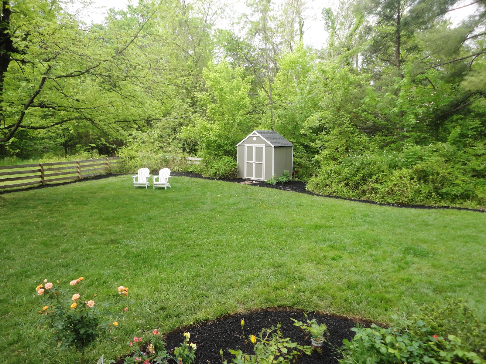 Back Garden Pictures