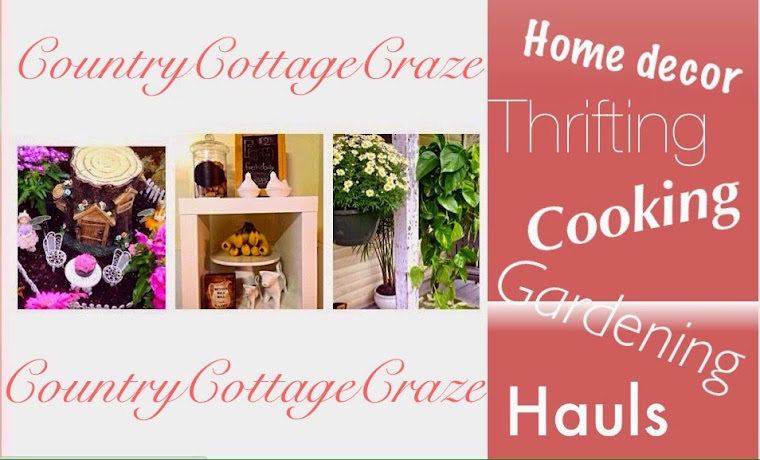 Country Cottage Craze