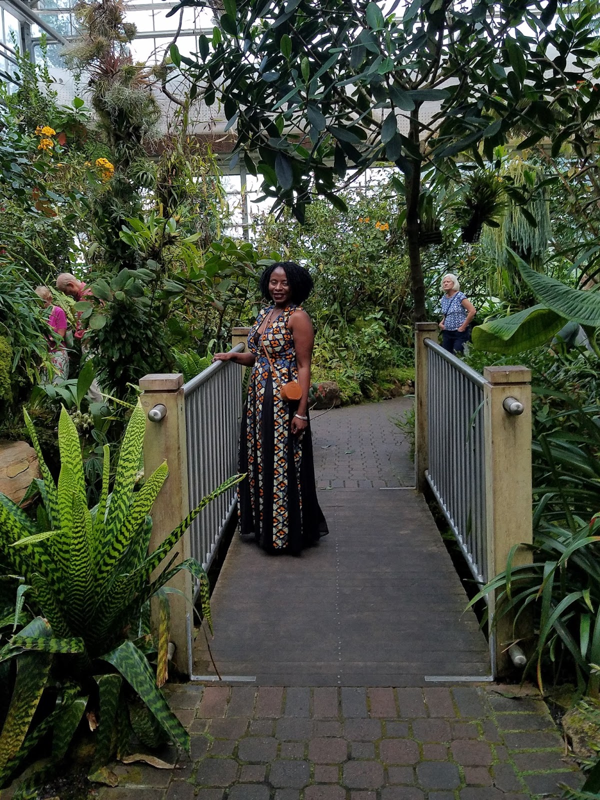 kew gardens cinemas lefferts blvd botanical garden quindio