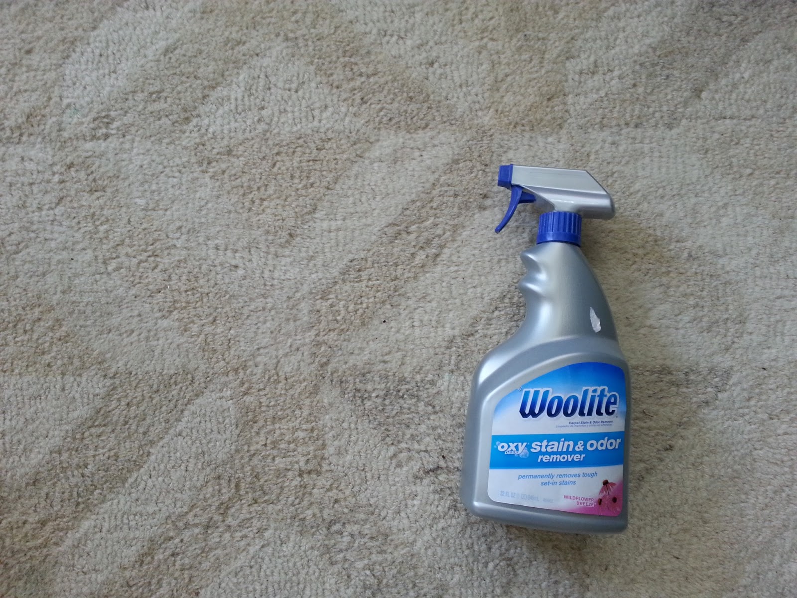 So Here's What I Think... Woolite Oxy Deep Stain & Odor Remover