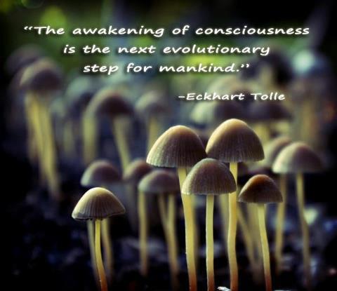 goddesses and the divine feminine goddesses and the divine feminine