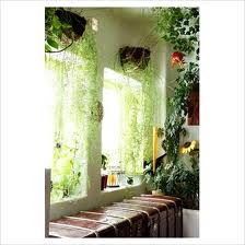 Gulley Greenhouse Decorating With House Plants