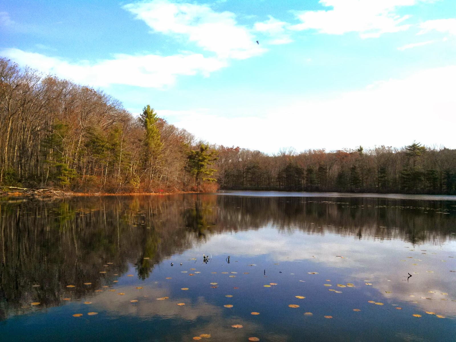 Gardner Street The Weekend