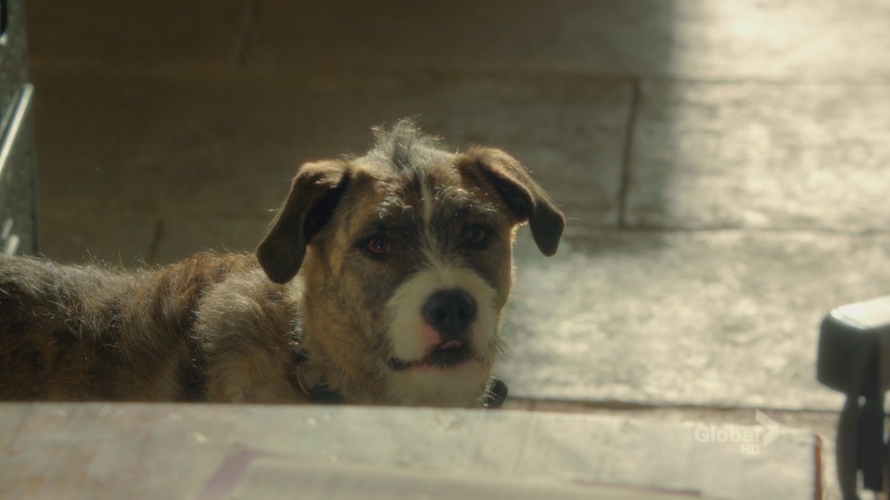 Inside Scoop NCISLA Magazine Page 3