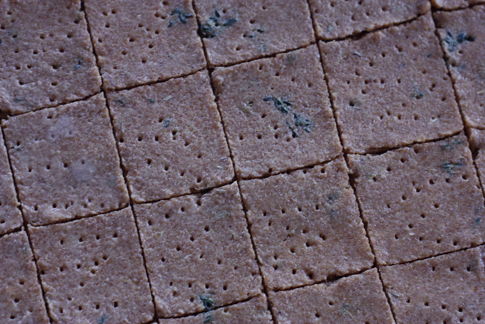 A natural food blog Oven Baked Flax Crackers