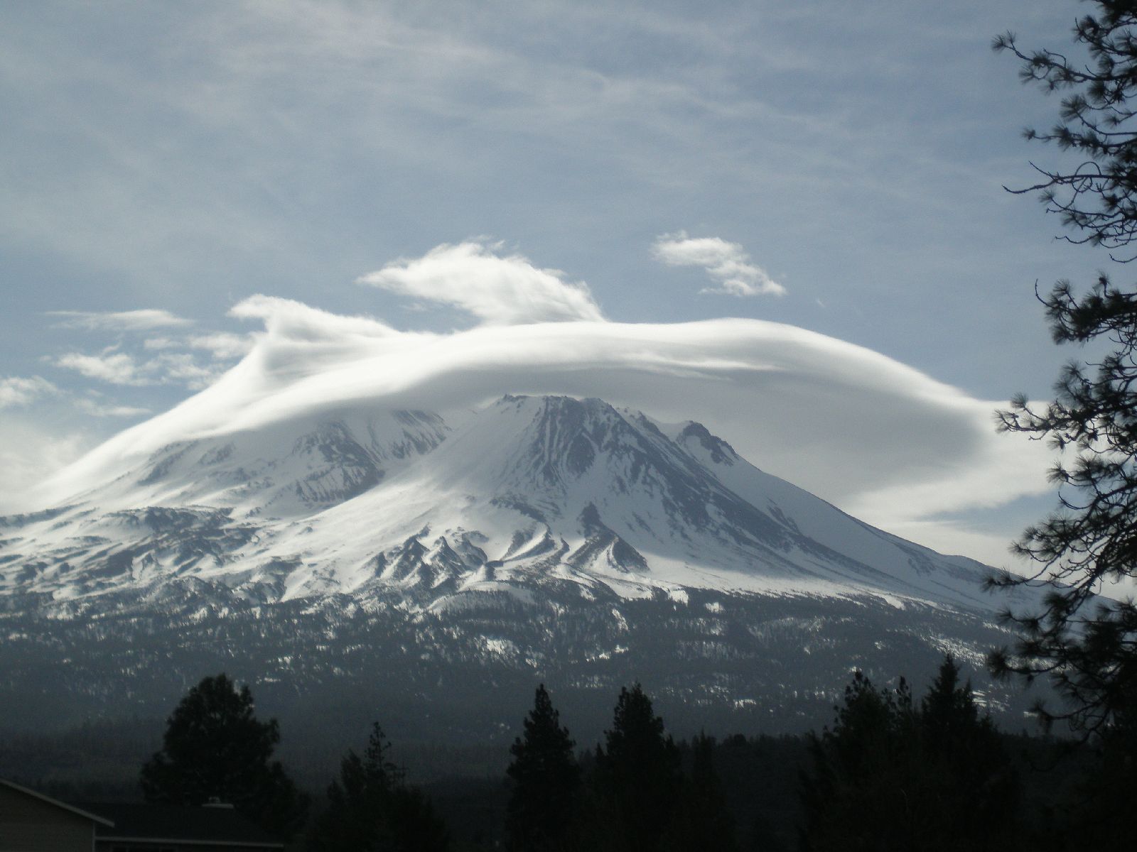 Mt. Shasta