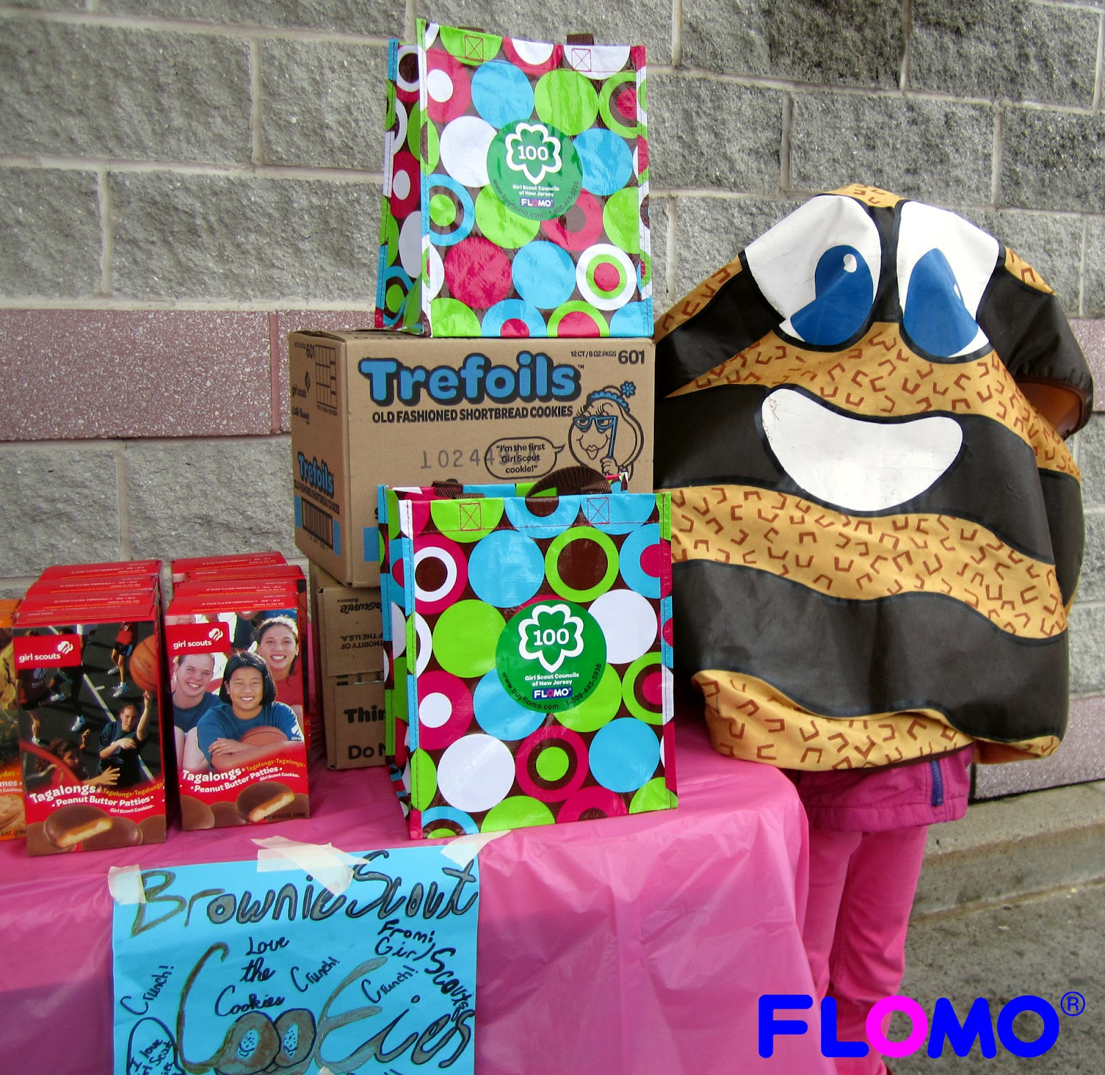 Girl Scout Bag