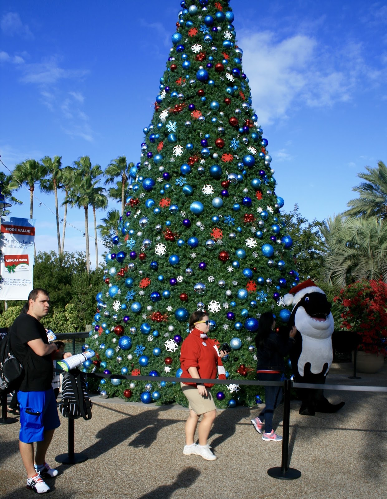 Amy's Creative Pursuits Christmas Trees and Beautiful Holidays Displays