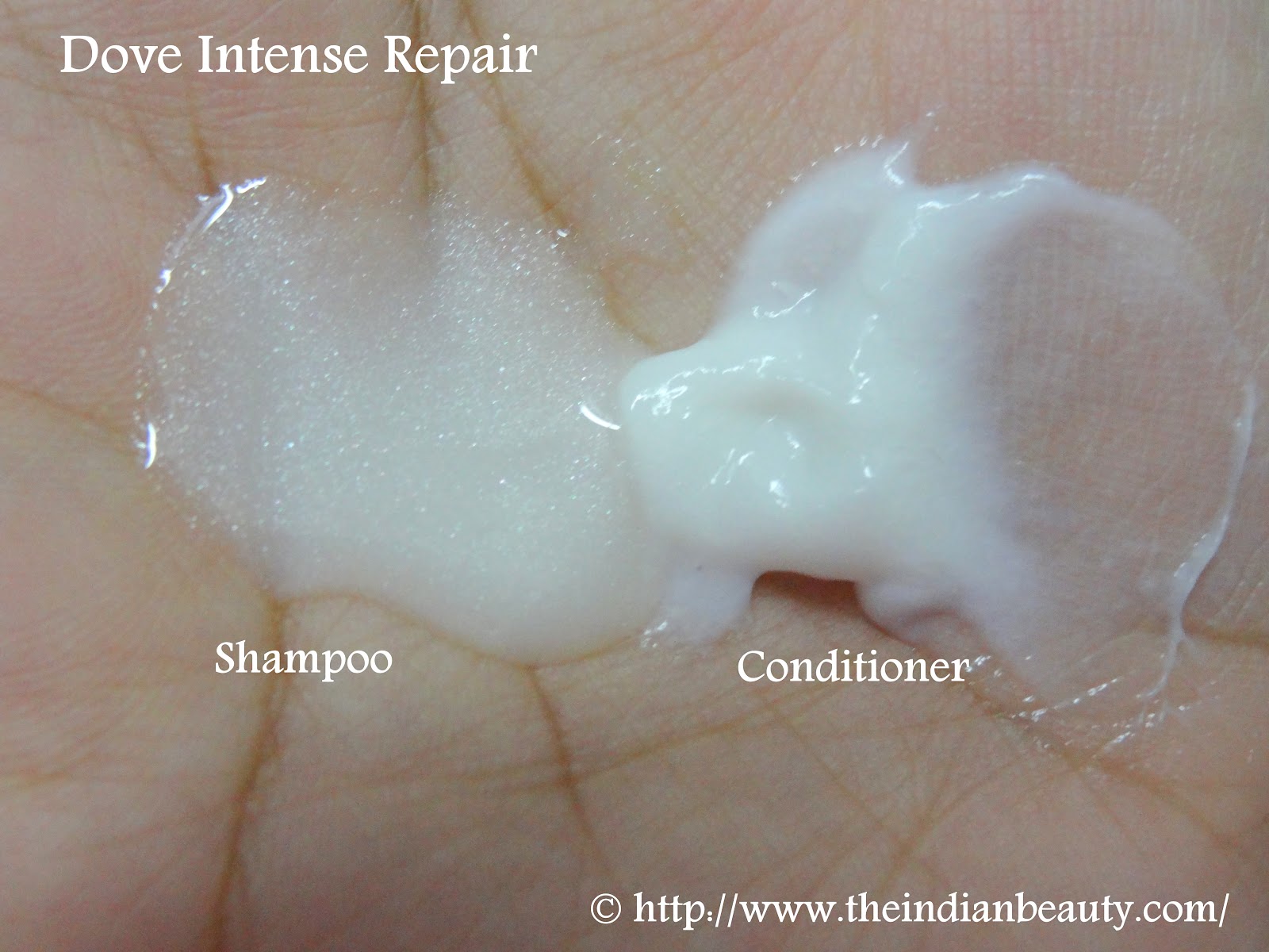 Dove Intense Repair shampoo and conditioner- Review - The Indian Beauty