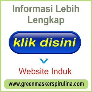 WEBSITE INDUK