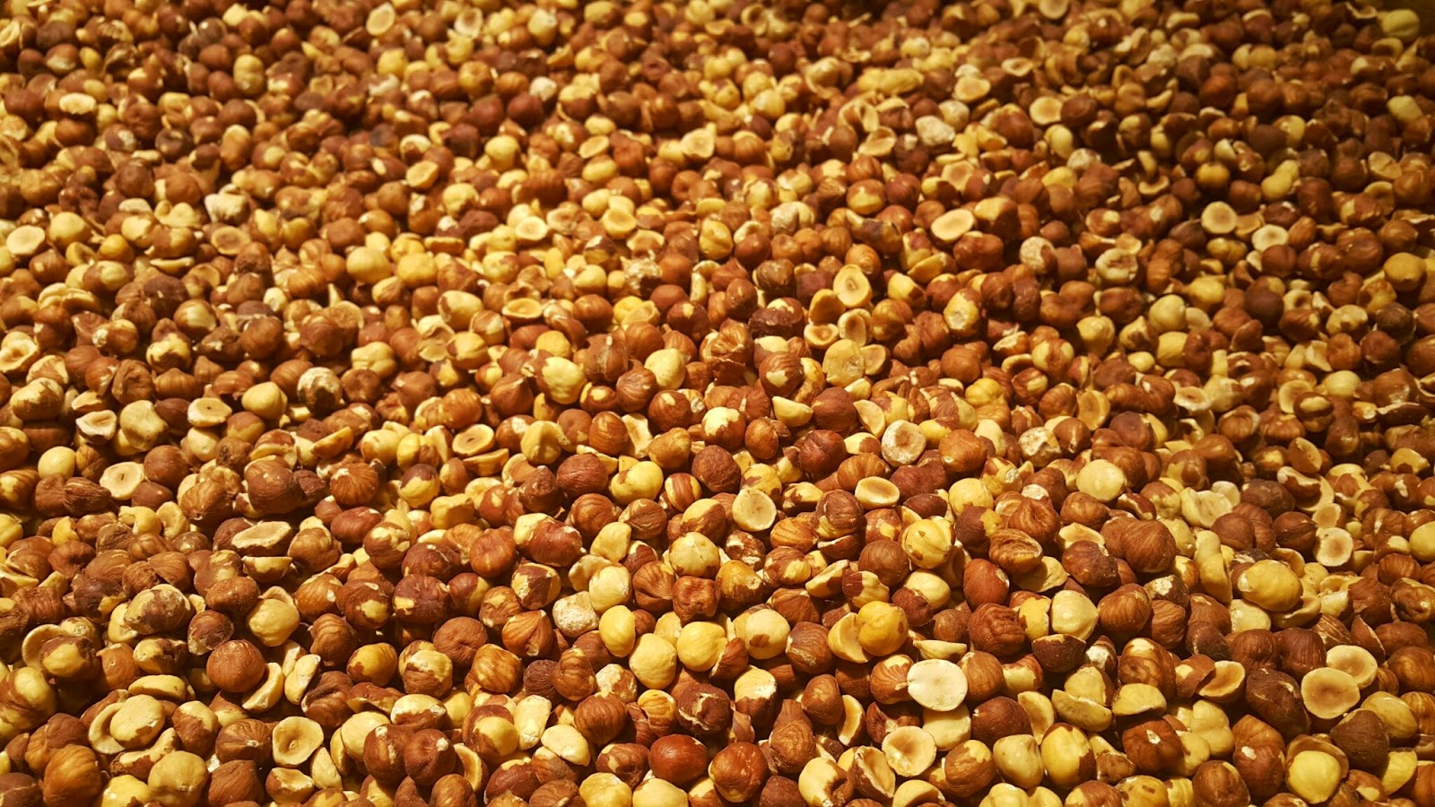 ANALI KIZLI İSVİÇRE Ev Bezgini