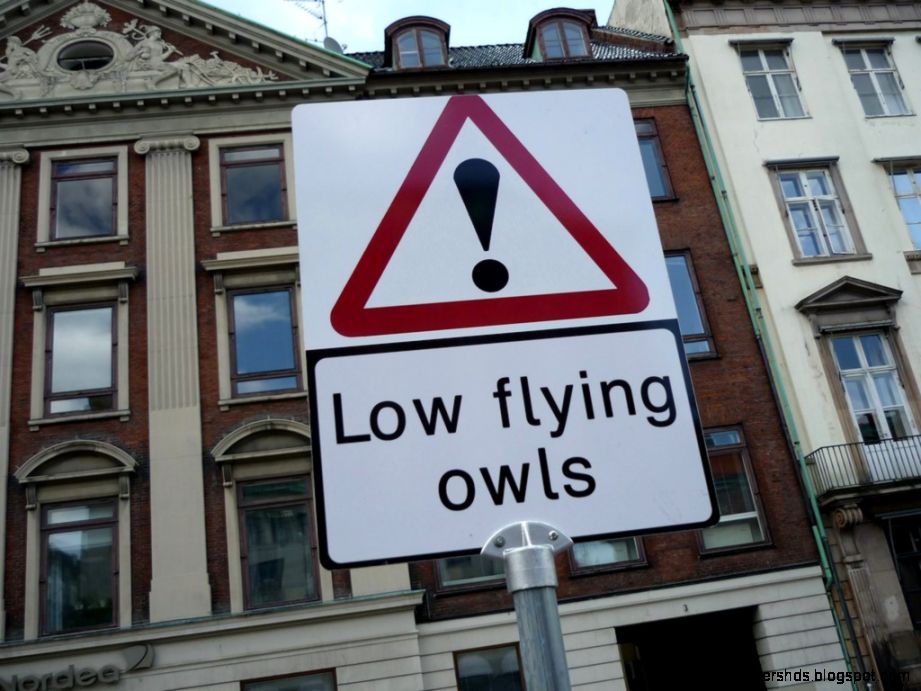 Funny Street Signs 19 Desktop Wallpaper Funny Street Signs 19 Desktop Wallpaper