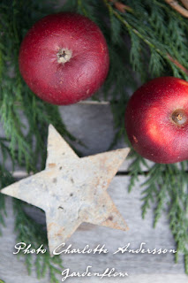 Trädgårdsflow: Merry Christmas