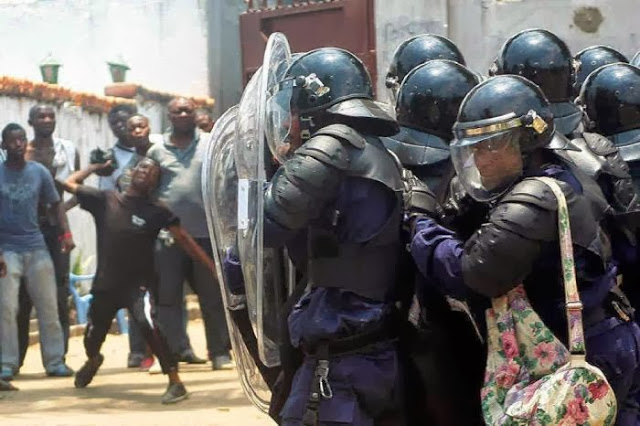 Divertidas imágenes del trabajo de la policía de todo el mundo