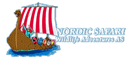 Nordic Safari