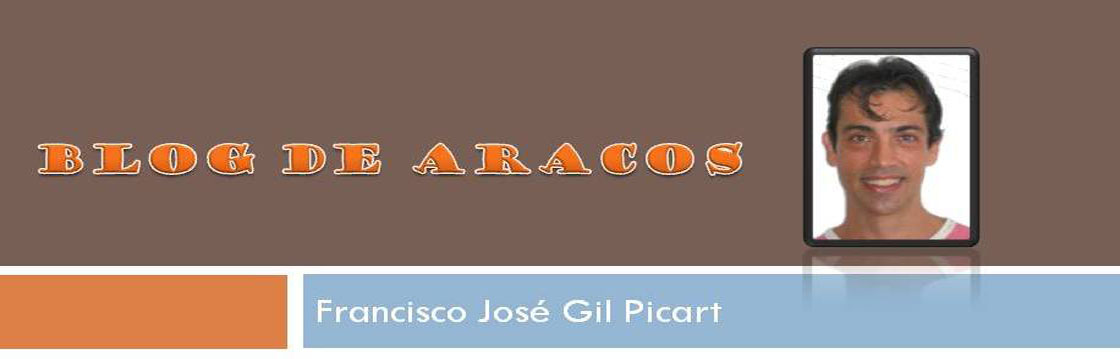 BLOG DE ARACOS