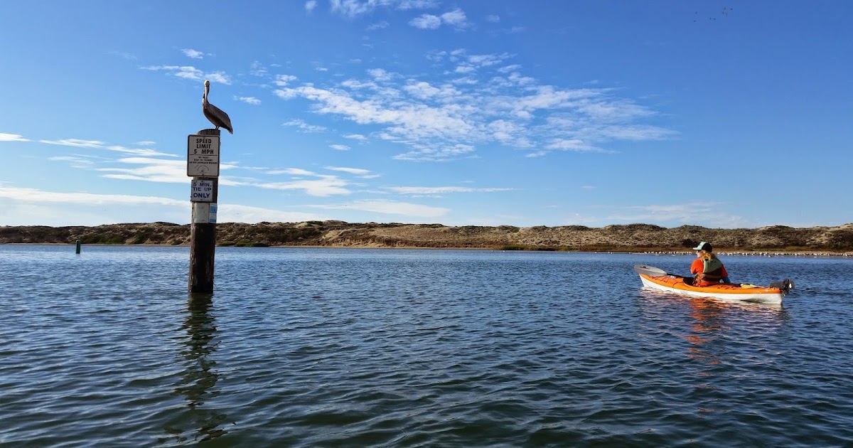 Kayaking the California Delta Elkhorn Slough