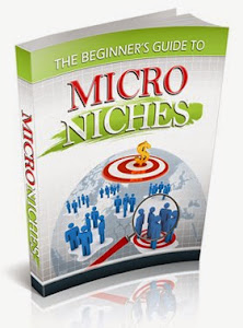 The Beginner Guide to Micro Niches