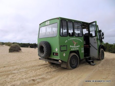 Ruta en 4x4 Parque Natural Donana