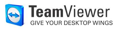 team viewer view only team viewer view only