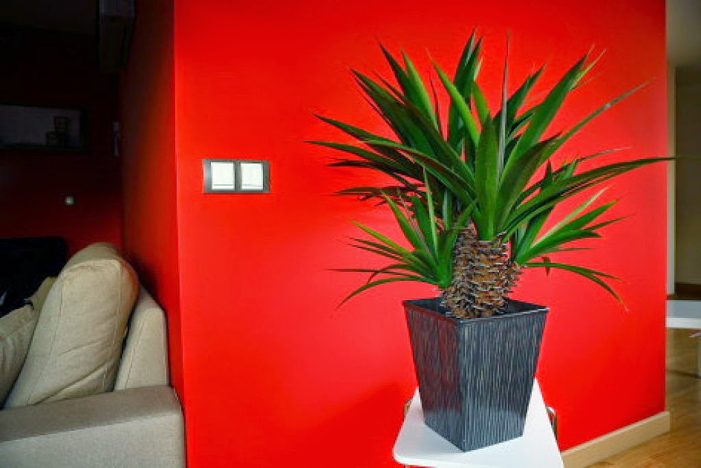 decoracion de interiores con plantas artificiales como decorar el hogar con plantas artificiales ideas decoracion de interiores con plantas artificiales como decorar el hogar con plantas artificiales ideas