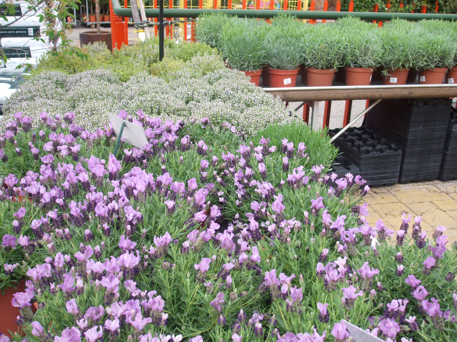 El perfume del jardín