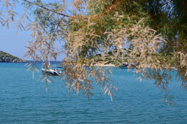 DSC_0602.JPG