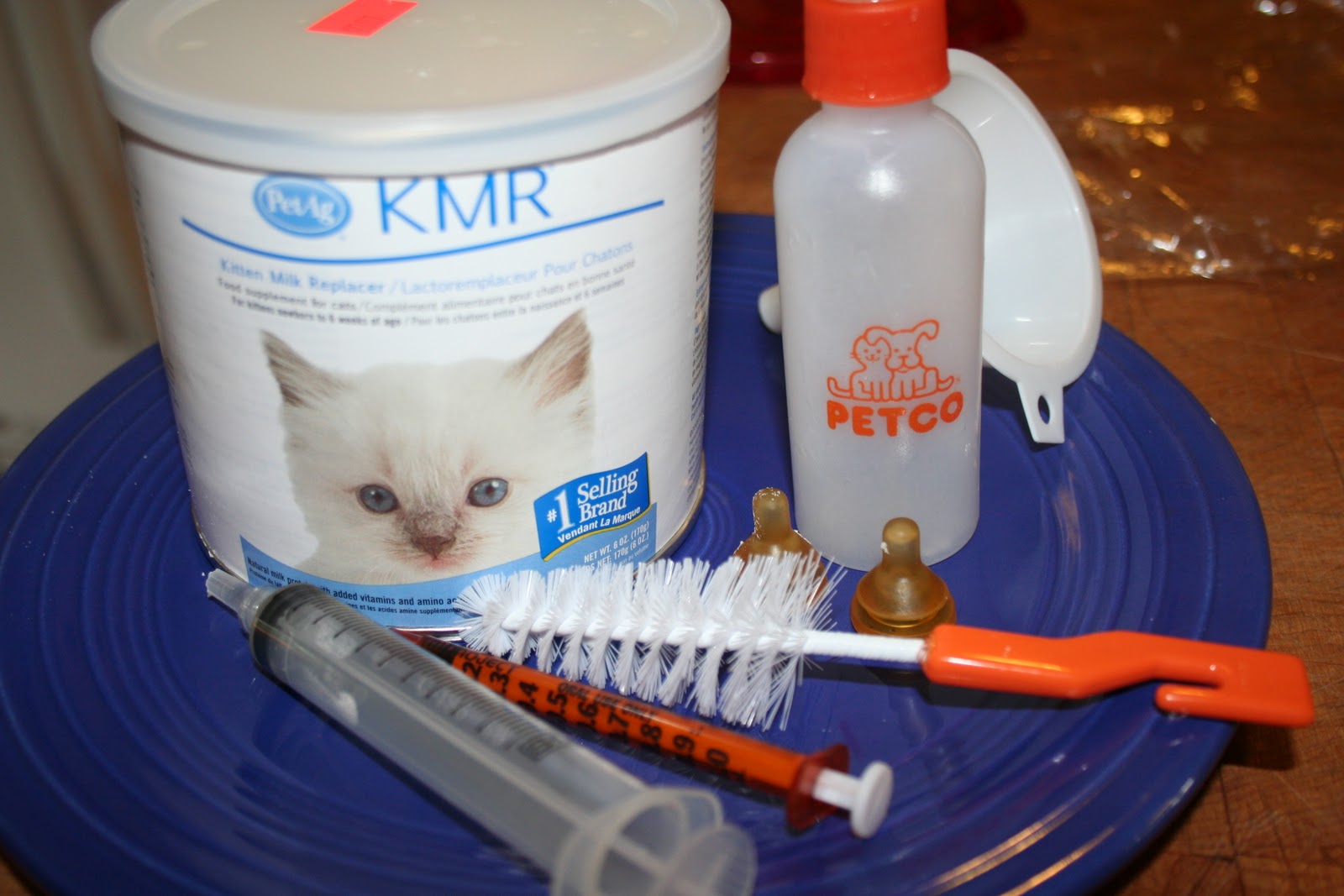 Can You Give Baby Kittens Baby Formula at Ursula Kittrell blog