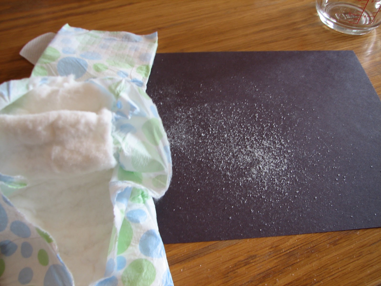 Science Matters Dissecting a Diaper