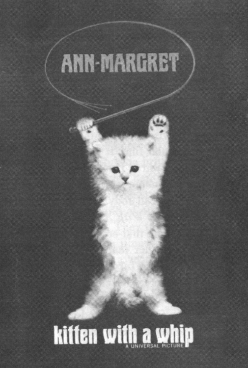 DREAMS ARE WHAT LE CINEMA IS FOR...: KITTEN WITH A WHIP 1964