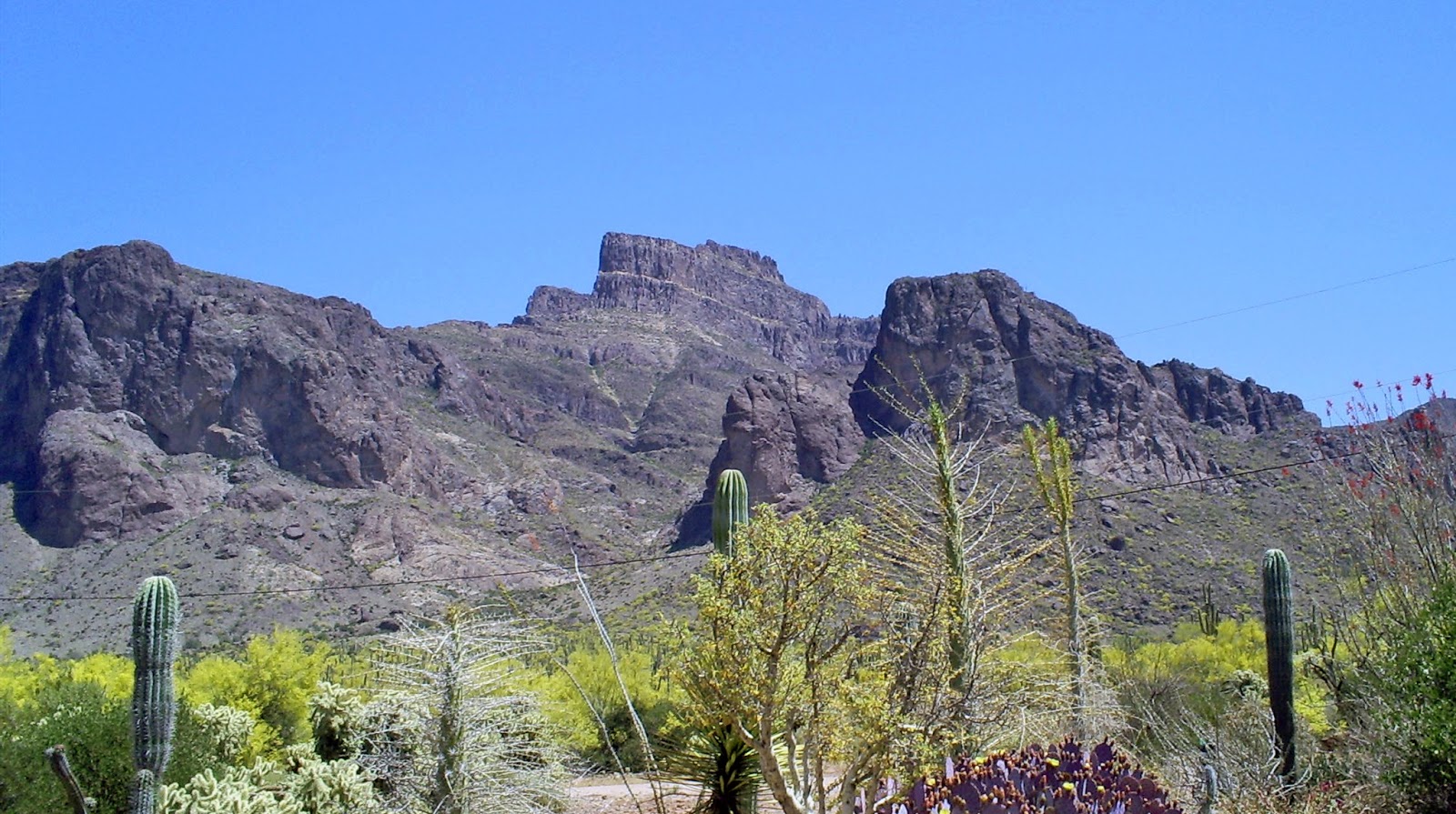 History Adventuring Surviving Valley Fever, Phoenix, Arizona
