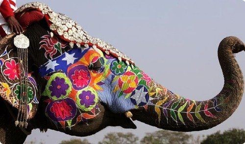 Art at AMY Northwest: Cycle 2: 6th Grade - Indian Elephants