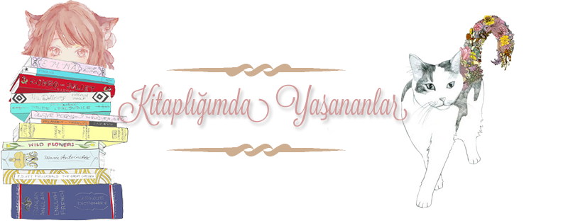 Kitaplığımda Yaşananlar